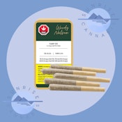 FLIGHT 525 - WOODY NELSON - 5X0.5G