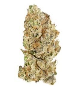 Broken Coast  - Platinum Pave - 7g