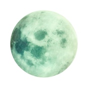 MOON GITD 7.8" DAB MAT