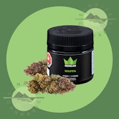 WAPPA - REDECAN - 1G