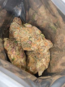 Sheeesh! - Trop Cherry 28g Dried Flower