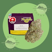 PINE TAR - SALTSPRING MAGIC (DFG) - 14G