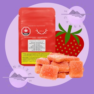 Wyld - STRAWBERRY 20:1 CBD - WYLD