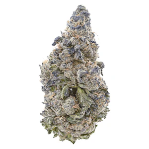 Tribal - Jigglers 3.5g Dried Flower