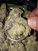 Triangle Octane 14g Dried Flower