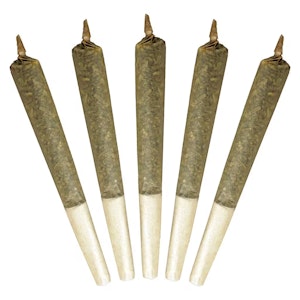 BUDDY BLOOMS - Big Buddy Sativa 5 x 1g Pre-Rolls