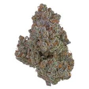 Distinkt - Monaco Octane 7g Dried Flower