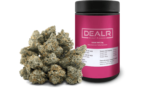 DEALR - Sugar Tartz LTO - DEALR - 28