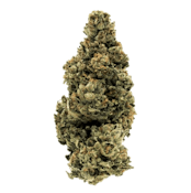 Platinum Jelly Punch (Bandwagon Indica by Homestead) (7g)