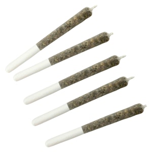 DIME BAG - Wildcat Serum Pocket Rockets 5 x 0.5g Infused Pre-Rolls