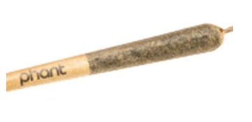 GINGERBREAD FLAVORED DIAMOND INFUSED PRE-ROLL - 1
