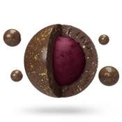 Chocolate Fusions Dazzleberry Pop 5pc