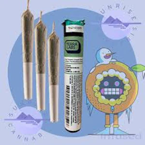 Terra Labs  - Terra Labs - Frosted Oranges Infused  - 1x1g