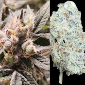 7g Cherry Fire Hybrid 7g