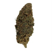 Blueberry Lemonade PR 3x.5g (Sativa)