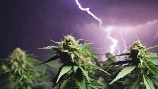 Lightning Strikes 3x.5g PR (Hybrid)
