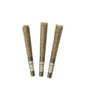 Bold Growth Inc. - Root Beer Float 3x0.5g Pre-Rolls