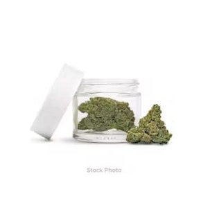 Saltspring Magic - PHENO HUNTER'S DREAM - STONED FRUIT SLURRICANE - 7G