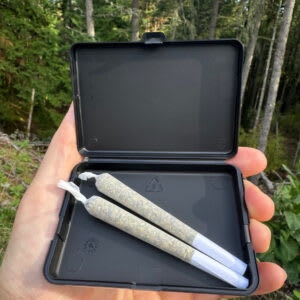 Saltspring Magic - SALTSPRING LOVE HAZE PRE-ROLLS - 2X1G