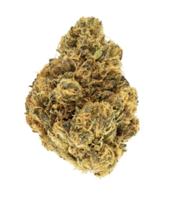 GOOD BUDS - Good Buds Mango Cake | 7g