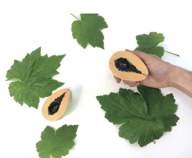Papaya | Hand Pipe