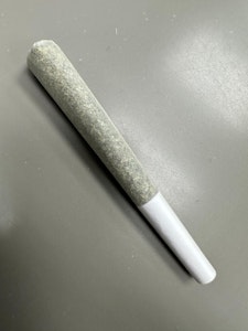 1Spliff - Cannon Pre-Roll 1x1g - 1SPLIFF