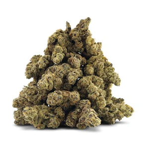 BC OZ - Apricot Jelly - BC OZ - 28