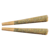 Fuego - Night Rider Pre-Roll 2x1g