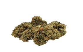 7g