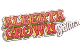 Alberta Grown (Rotating Sativa) 14g Dried Flower by Plaid Trout