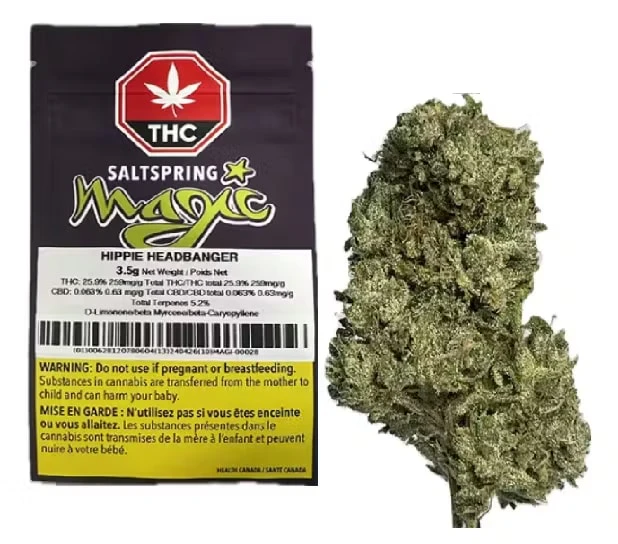Salt Spring Magic - HIPPIE HEADBANGER - 3.5G Main Image