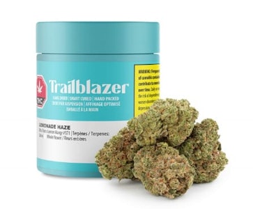 TRAILBLAZER - Lemonade Haze 7g Dried Flower