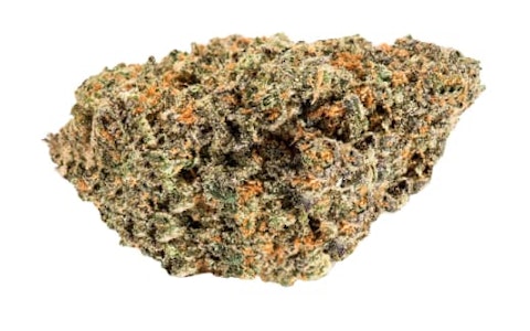 Terp Town Collective - Sun of a Peach