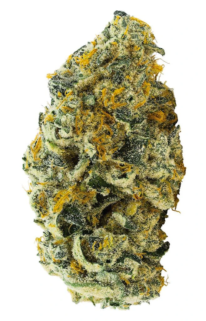 Big Bag O' Buds - Jet Fuel Pie | 14g Main Image