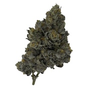 Exotic Matter - 7g - THC:30.3%