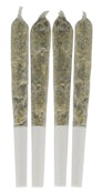 Tropical Pocket Puffs Pre-Roll | 4x0.5g