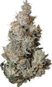Tribal - Triple Burger | 3.5g