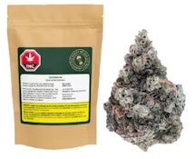 14G COUNTRY CLUB (CACTUS MILK) LTO