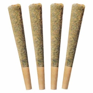 Fuego - Night Rider - 4x1g Pre-Rolls