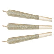 Watermelon G-Bear Distillate Infused Pre-Roll 1g