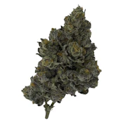 Rocket Factory - Exotic Matter 7g