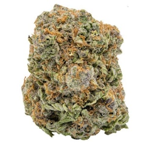 Kootenay Quantum - KQ Jager - Kootenay Quantum - 7