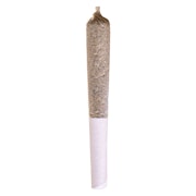 Jack Herer Pre-Roll 1x0.5g