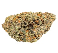 Sun of a Peach  Dried Flower