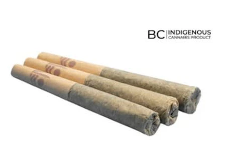 All Nations - FROSTED GELATO PRE-ROLLS | All Nations - 3 x 0.5g | Rest