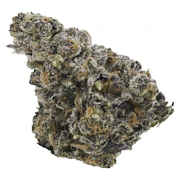 Gastro Pop | 14g | EastCann