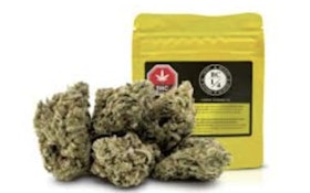 BC Quarters|  COSMIC COOKIES - 7
