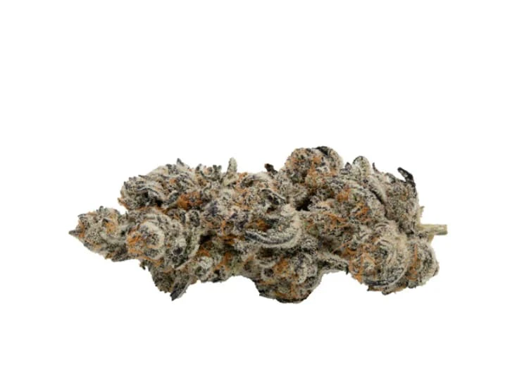Koots Canna - DF - Koots Canna - Interstellar - 7g Main Image