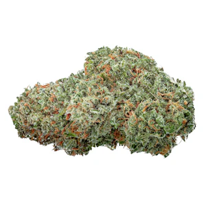 Highly Dutch Organic - Highly Dutch Organic - Amsterdam Sativa - 28g