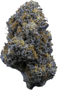 Sweetgrass - Sweetgrass - Fiestaz | 3.5g